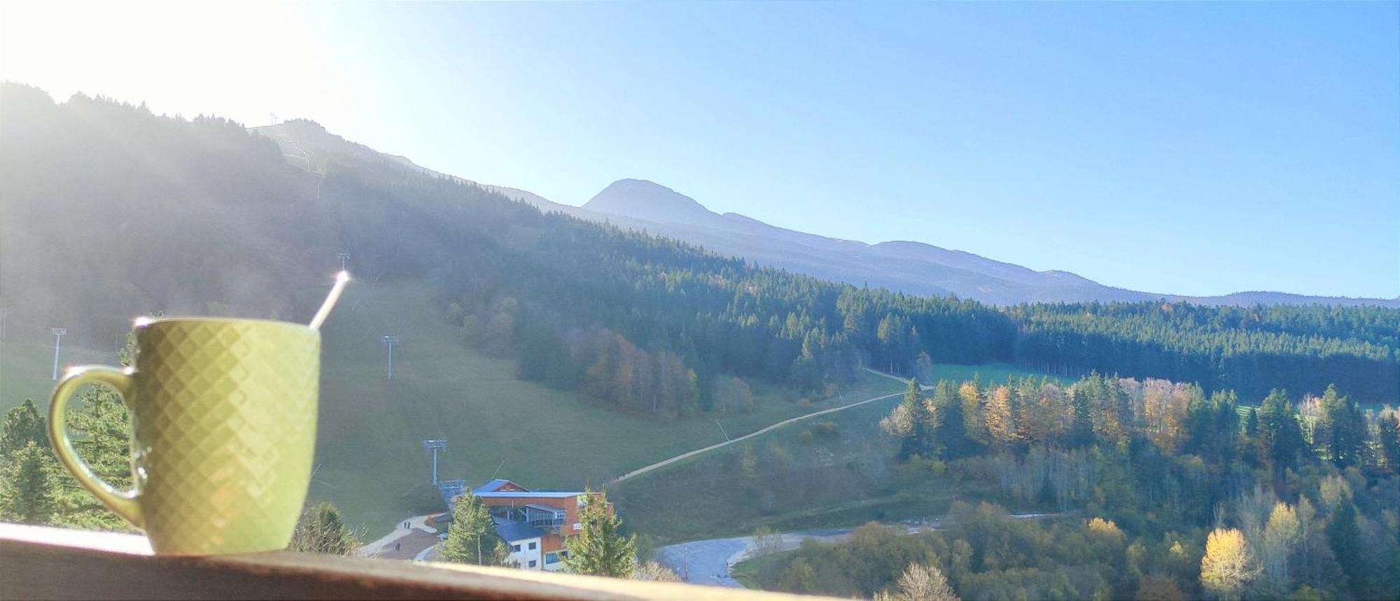Appartement Cosy Coeur De Station วียาร์-เดอ-ล็อง ภายนอก รูปภาพ